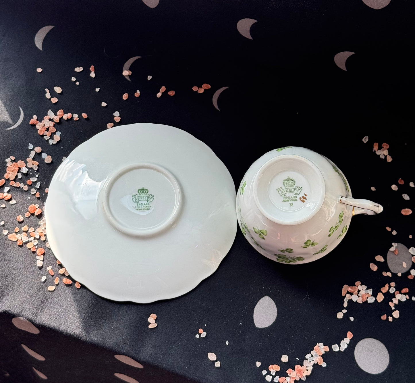 The Enchanted Shamrock Teacup