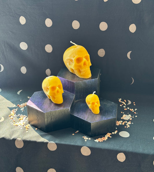 Eeny Meeny Miny Moe Skull Head Trio